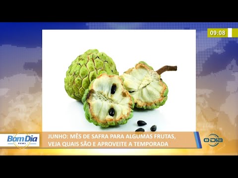 Junho: Mês de safra para algumas frutas; veja quais são e aproveite a temporada 03 06 2021