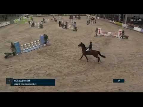 super cheval suisse à vendre