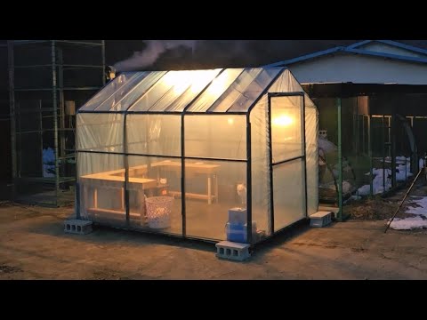 무너진 천막으로 만든 고양이 겨울 하우스