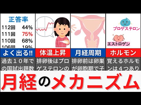 月経周期について詳しく解説