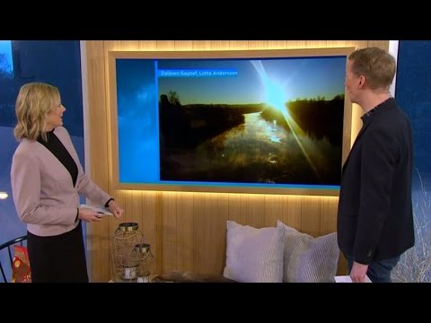 Snödjup och vackra solnedgångar - Nyhetsmorgon (TV4)