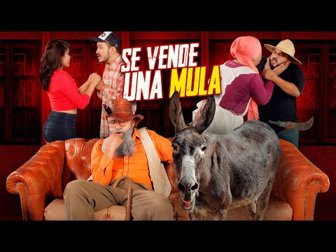 Se vende una mula - Agapito Díaz ( cortometraje ) JR