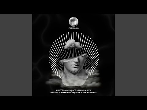 Wild (Juan Deminicis Remix)