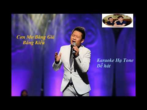 Cơn mưa băng giá Karaoke Beat (Hạ Tone nam)