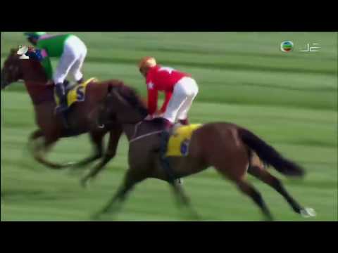 2016 The Hong Kong Jockey Club Stakes (Maybe Mahal S.) G3 - Artistry (藝能力) - H Bowman