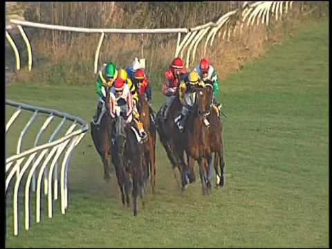 Galoppo 29/01/2016 - 5° corsa