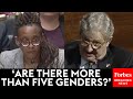 How Many Genders Are There John Kennedy Questions Human Rights Campaign Chief About Gender