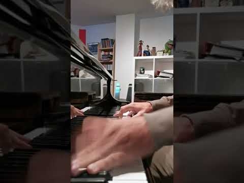 Christoph Steinbach is groovin, New Orleans Piano Boogie Woogie Blues