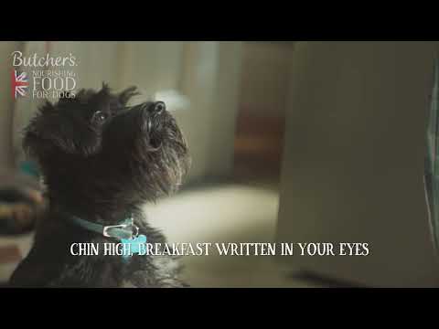 For everyday, a wholesome British-Made bowlful from Butcher’s Nourishing Food for Dogs 🐶🐾