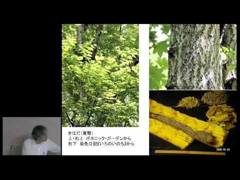 仏教学科 山城ミュージアム『南山城の大般若経をめぐって』(2)