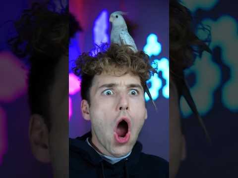 😰💀Disney theory that won't let you sleep Part 7 #disney #theory #eastereggs #facts #theincredibles