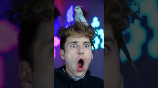 😰💀Disney theory that won&#39;t let you sleep Part 7 #disney #theory #eastereggs #facts #theincredibles