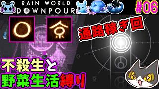 【☔轟くRainworld】ハイスピードナメクジ06【Downpour/リビュレット/カラーパール集め/セル/Shaded Citadel/TheMonk/TheSaint】