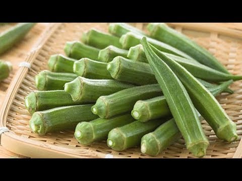 download lagu mp3 mp4 Health Benefit Of Okro, download lagu Health Benefit Of Okro gratis, unduh video klip Health Benefit Of Okro