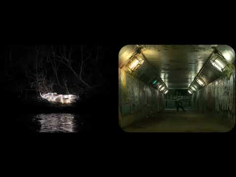 Light Sleeper - Trailer l FOFS 2025 Official Selection