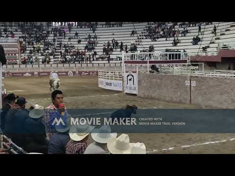 ALL HORSES MÁQUINA 501 ZACATECAS 2022