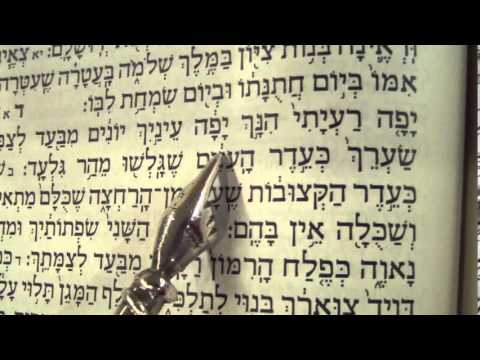 Song of Songs reading Hebrew Ashkenaz Rabbi Weisblum שיר השירים פסח נוסח אשכנז