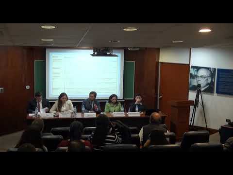 Mesa 4: El rol de las facultades de derecho