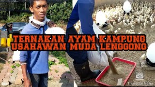 Download lagu INOVASI AYAM JUAL MURAH!!TERNAKAN AYAM KAMPUNG🍂🐓🐔TAK CUKUP STOCK!! mp3