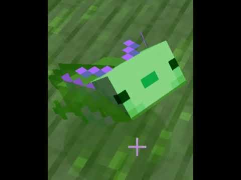 How To Get a Blue Axolotl | Minecraft Survival Tip | #Shorts