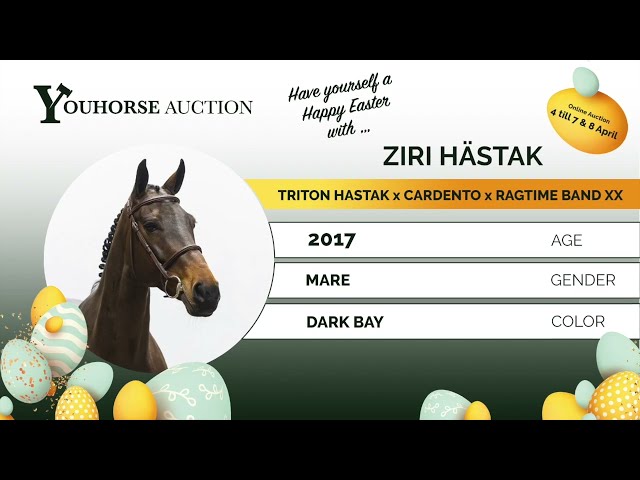 Ziri Hästak SWB showvideo