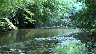 Pachelbel - Canon in D Major - Walter Rinaldi: Rinascita