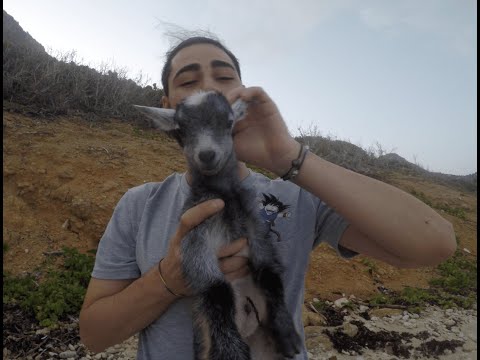 Miraï Sina - Sujet Perdu (Prod. by SoulyBeatz)(Clip Officiel)