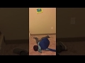 Blues Clues Be Like Remake