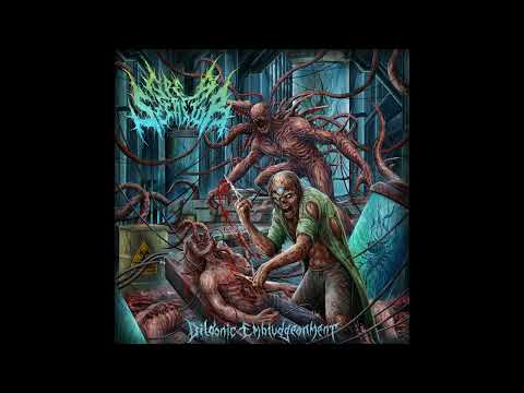 Slamming Brutal Death Metal 2023 Full Album "TYPE A SECRETOR" - Dildonic Embludgeonment