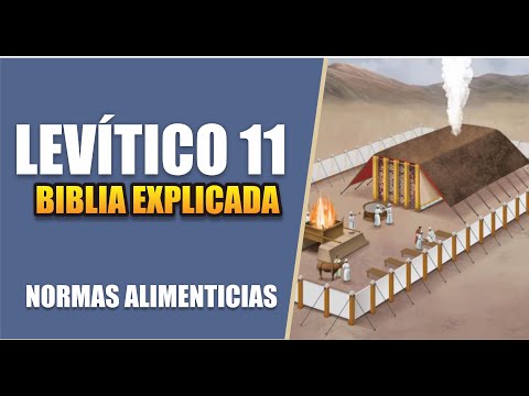 🔴 LEVÍTICO 11  - BIBLIA EXPLICADA EN DIRECTO || REAVIVADOS POR SU PALABRA