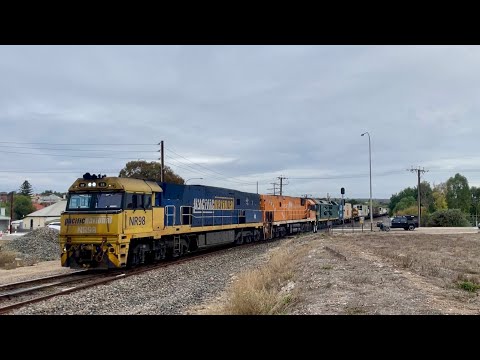 Pacific National Freight - 2PM6 - NR98, NR31 (GS), G538