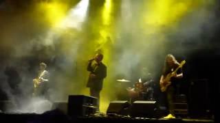 Protomartyr - Why Does It Shake (NOS Primavera Sound 2016)