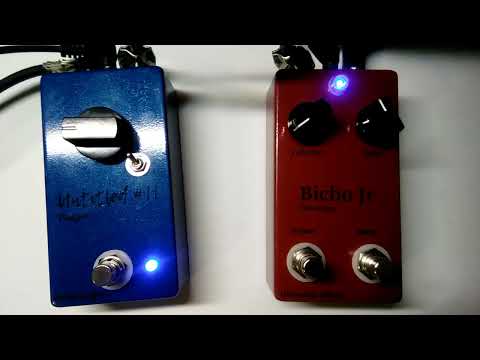 Untitled # 11 Phaser + Bicho Jr. Distortion