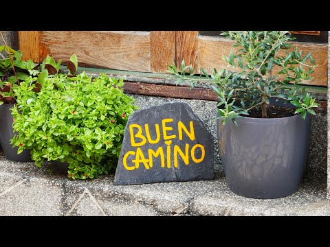 Was tun, wenn Dein Camino Dir Zitronen gibt und Deine Jakobswegpläne abfackeln?