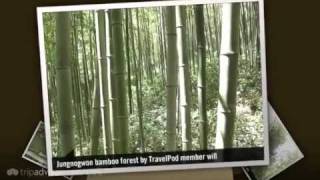 preview picture of video 'Wandering through a bamboo forest Will's photos around Damyang, Korea Rep. (damyang and jeonju)'