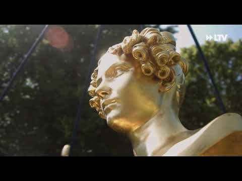 Kurz und Knackig  - Nachrichten aus Cottbus und Umgebung