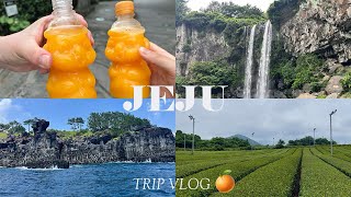 【vlog】3泊4日夏の済州島旅行✈️グルメも観光も大満喫🍊