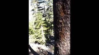 Just a short of us going up Dawson Saddle