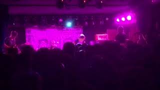 PUP - Familiar Patterns