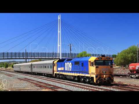 RailGallery_20151121_510 | 81 Class | Pacific National