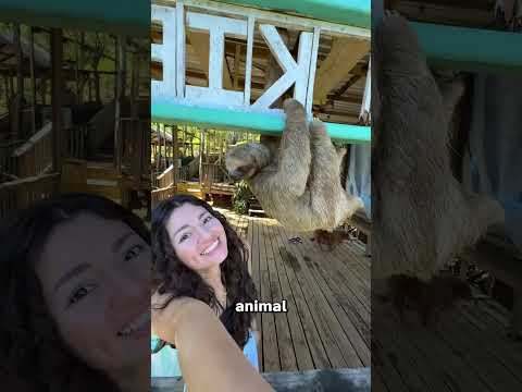 ¡El Momento En Que Este Adorable Animal Se Despertó! 😳