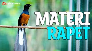 Download lagu MURAI GACOR BIKIN EMOSI NEMBAK REPET PANJANG PANJANG | SHAMA BIRD mp3 Download lagu MURAI GACOR BIKIN EMOSI NEMBAK REPET PANJANG PANJANG | SHAMA BIRD mp3