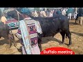 Buffalo Village Meeting