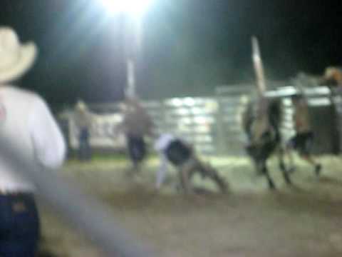 Adam Phillips on White n black bulls second nite