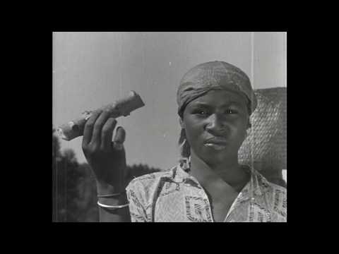Thumbnail for video: La Chanson du manioc (1944) de J.K. Raymond-Millet [Extrait]