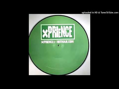 Fred Pellichero & Sandy Wilhelm - Video Killed The Radio Star (Vocal)