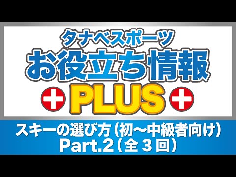 シボッテについて詳しく解説