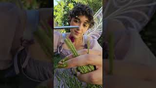 Your Hair is Grass 🍃 #asmr #fairy #asmrhaircut