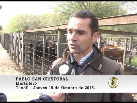 15-10-15 Nota Pablo San Cristobal - Martin G. Lalor S.A. - Tandil.