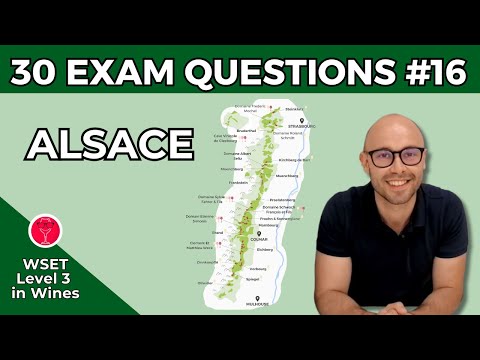 Alsace: 30 Exam Questions WSET Level 3 in Wines I Video #16